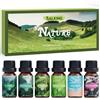 SALKING Oli Essenziali Natura per Diffusori 6x10ml, Set di Olio Essenziale Puri