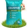 LERAVA CHAMPION semi prato (30m²) - festuca arundinacea di qualità - resistente