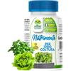Albagarden Concime Per Coltivazione Idroponica E Idrocoltura - Fertilizzante Ide