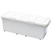 Contenitore Sottiletto Organizer Portaoggetti con Ruote Coperchio Doppio