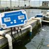 Tester pH ORP Temperatura 3 in 1 Esportazione Dati per Idroponica