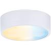 Paulmann Pauleen Paulmann 99954 Lampada per mobili LED Clever Connect Spot Medal Tunable White 12V Tonda incl. 1x2,3 Watt dimmerabile Bianco Opaco plastica 2700-6500K 2.3 W, Chrome Matt