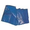C LINE GARDEN Telo Occhiellato PE 4 x 5M 85GR Blu