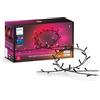 Philips Hue White and Color Ambiance Festavia, Stringa di Luci, Luce da Bianca a