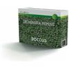 bottos SEMI TAPPETO ERBOSO PRATO DICHONDRA REPENS BOTTOS DICONDRA CONFEZIONE DA 1 KG