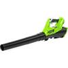 Greenworks G40AB - Soffiatore Foglie a Batteria 40V Assiale 177km/h - Senza batt