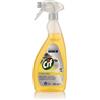 Diversey Cif Professional Sgrassatore ad azione Rapida 750ml