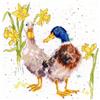 Bothy Threads Kit Punto Croce - Paperelle e Daffs XHD6
