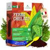 LERAVA Ferro Chelato per Piante (200 g) Rinverdente Contro Clorosi Ferrica