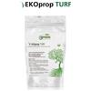 Green Ravenna Fungicida EKOprop TURF inoculo funghi micorrize prato tappeto erboso 200 g