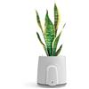 VITESY NATEDE SMART Purificatore Aria Sostenibile Senza Filtri con (P0z)