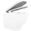 POZZI GINORI Copriwater Sedile WC di Ricambio Q3 Termoindurente Chiusura Ammortizzata