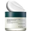 Pyunkang yul [PKY] Pyunkang Yul Crema Calming Moisture Barrier, lenisce istantaneamente la pe