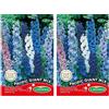 Germisem Pacific Giant Mix Semi di Larkspur 0.5 g (Confezione da 2)