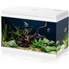 AQPET Simply 60 Acquario Completo Con Illuminazione Led, Filtro E Riscaldatore, Bianco