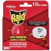 Raid ESCA INSETTICIDA PER FORMICHE RAID - 12 pezzi RAID