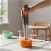 Frullatore a Immersione Potenza 800W Minipimer Tritaghiaccio per Cucina