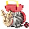 Rover 25 CE - Elettropompa Travaso Autoaspirante 2500 l/h 25 mt Prevalenza