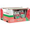 Cereria Di Giorgio - 54 Confezioni da 6 Tealight al Geranio - Anti zanzare e insetti - Diametro 3.6 cm Altezza 1.7 cm - Colore Rosso - Durata 3.5 ore