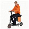 Ladped Electric Scooter 250W Scooter 8.5" Pieghevole con Sedile e Borsa 11L Adulti