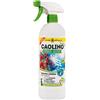 I Consigli dell'Esperto Caolino Pronto Uso, 1 kg