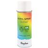 Rayher 34145102 Smalto Spray Acrilico, Satinato, Bomboletta Spray 200 ml, per In