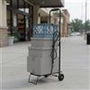 Carrello Portapacchi Pieghevole Portatile Carrellino Portaspesa a 2 Ruote