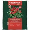 Greenview Terriccio Specifico PEPERONCINI 5 Lt con concime organico e pomice