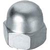 AUTRES DADO CIECO ZINCATO M20 - 50 pezzi