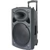 web Cassa acustica amplificata 12" con microfono e telecomando Bluetooth/Radio FM