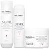 Goldwell Dualsenses Silver Shampoo 250ml Conditioner 200ml Treatment 200ml