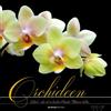 Alpha Edition Orchideen 2018: Mit schönen Sinnsprüchen von Rainer Haak auf jedem Monatsblatt