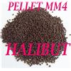pellet pastura pesca mare orata spigola esca con farina di pesce e sangue kg. 10
