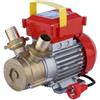 Rover (ricambio originale) Rover 30 CE - Pompa da travaso elettrica autoadescante bronzo 1 HP 75 L/min