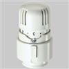 FAR COMANDO TERMOSTATICO FAR A LIQUIDO CON SENSORE INCORPORATO - -