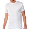 Nottingham 3 T-Shirt Uomo Art. TM6102 in Cotone Jersey Bianco Nottingham