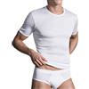 PEROFIL t-shirt uomo perofil scollo a v o girocollo filo di scozia