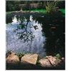 Siena Garden 543294 stagno in rete di 4 x 10 m 20 x 20 mm bande