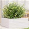 vidaXL Fioriera da Giardino Bianca 60x60x23 cm Legno Massello di Pino