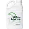 diachem DISERBANTE TOTALE GLIFOSATE GLIFENE 5 LT A PATENTINO OBBLIGATORIO