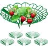 Does not apply Set Da 6 Anelli Di Supporto per Fragole, Sostegno in Plastica per Piantine Da Or