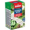 Blumen PRATO DICHONDRA