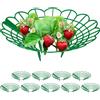 Does not apply Set Da 10 Anelli Di Supporto per Fragole, Sostegno in Plastica per Piantine Da O