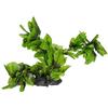 Wave Plant Replica Hygrophila