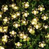 Does not apply 6.5M Impermeabile Catena Luminosa Led Solare Da Esterno Interno Fiore Stringa Lu