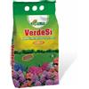 Alfe Concime VERDESI rinverdente antimuschio granulare ferro microelementi 5 Kg ALFE