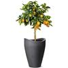 Scheurich - Wave Globe High, Vaso Effetto Granito, Colore: Grigio Scuro (Schwarz
