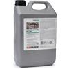 FAREN Protettivo Idrorepellente Antispolvere 5 l Consolidante Pietra Faren