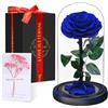 ✅Rosa Eterne con Cupola in Vetro Idea Regalo per la Festa della Mamma Luxury Blu