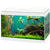 ASKOLL Ciao Aqua Light 20 Led Acquario In Vetro Completo 40x20x31,3h cm